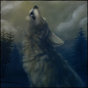 Howling Coyote. Digital. 2025. Rebelle 7 and Affinity Photo