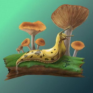 Banana Slug. Digital. 2024. Affinity Photo.