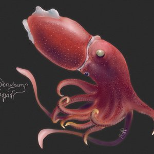 Strawberry Squid. 2024. Digital. Rebelle 7 and Affinity Photo.