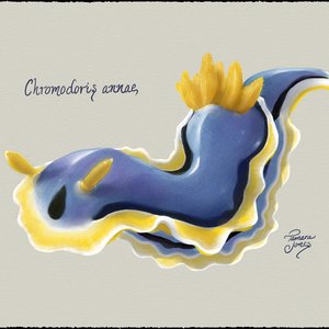 Anna's Magnificent Sea Slug. Digital. 2024. Rebelle 7 and Affinity Photo.