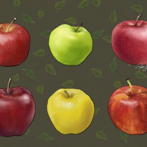 Study of 6 Apples. 2025. Digital. Rebelle 7.